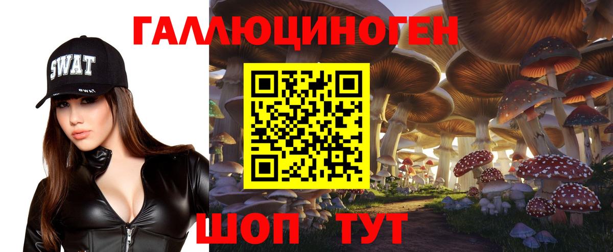 Бузулук  купить закладку  Вход с VPN  Галлюциногенные грибы Cubensis 