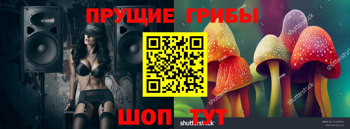 Псилоцибиновые грибы ЛСД Бузулук